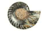 Cut & Polished Ammonite Fossil (Half) - Unusual Black Color #296299-1